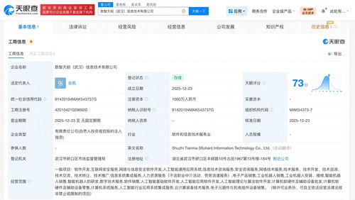 螞蟻數科布局華中，武漢新設信息技術公司聚焦網絡安全軟件開發